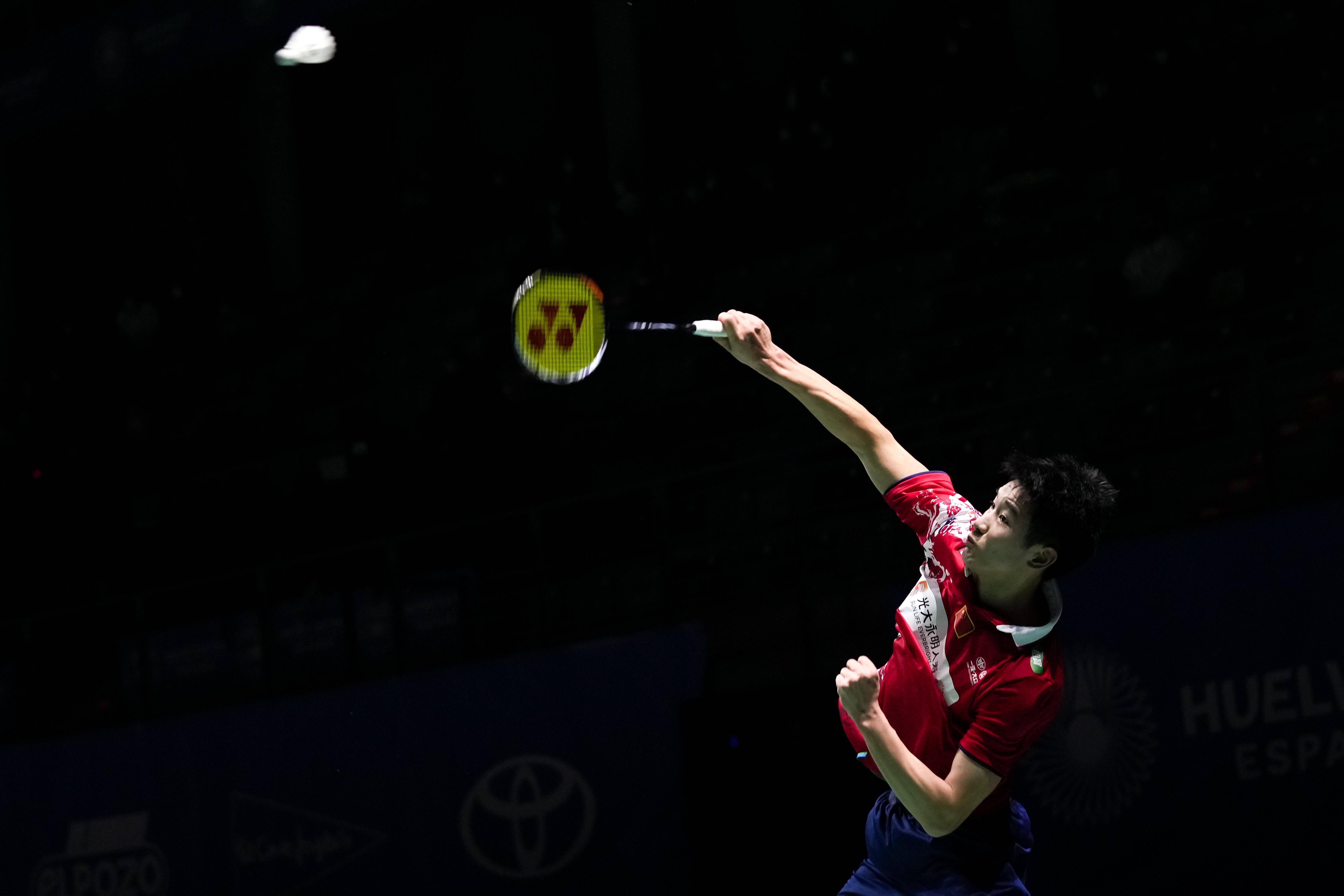 一系列古树 一系列古树